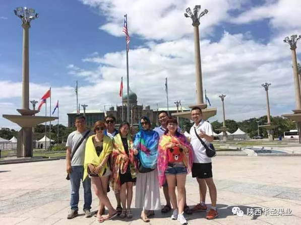 滚球买球的app官网