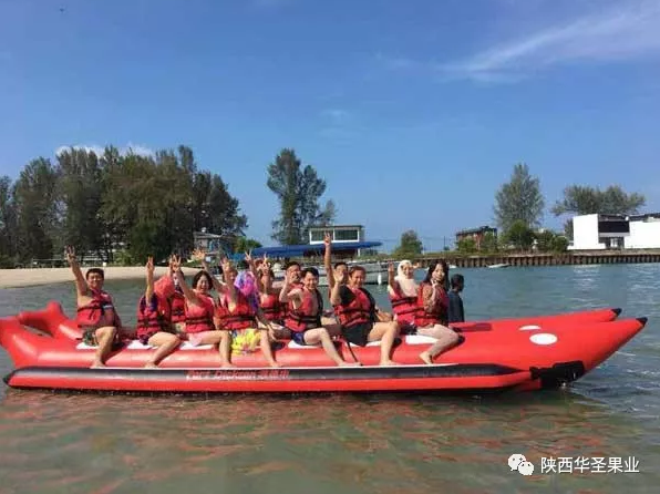 滚球买球的app官网