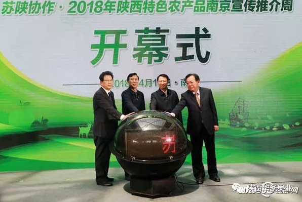 滚球买球的app官网