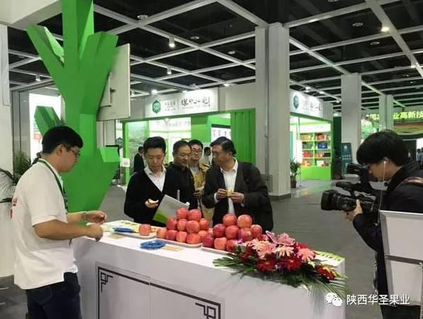 滚球买球的app官网
