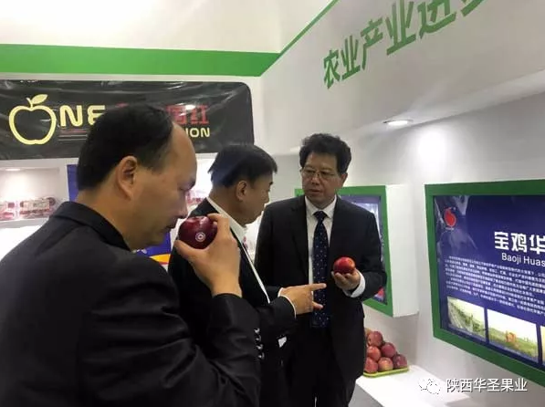 滚球买球的app官网