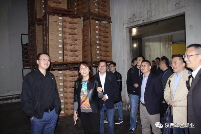 滚球买球的app官网