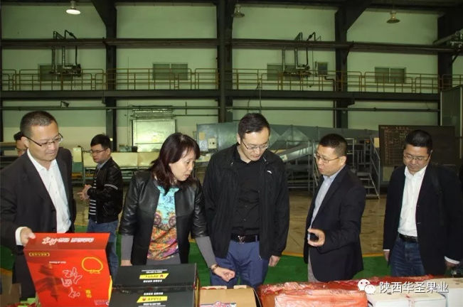 滚球买球的app官网