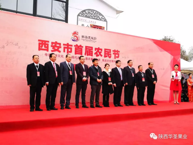 滚球买球的app官网