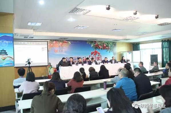 滚球买球的app官网