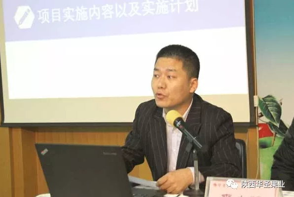 滚球买球的app官网