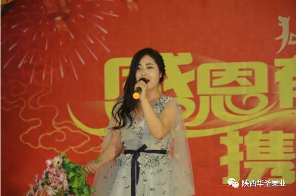 滚球买球的app官网