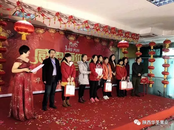 滚球买球的app官网