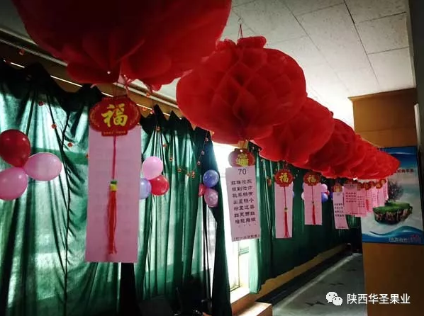 滚球买球的app官网