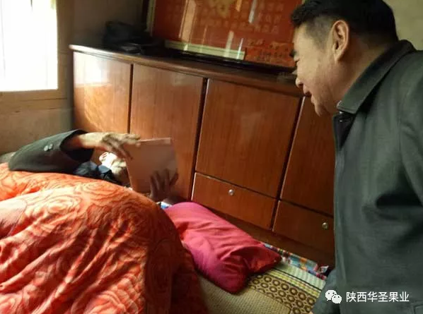 滚球买球的app官网