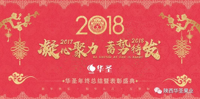 滚球买球的app官网