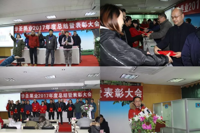 滚球买球的app官网
