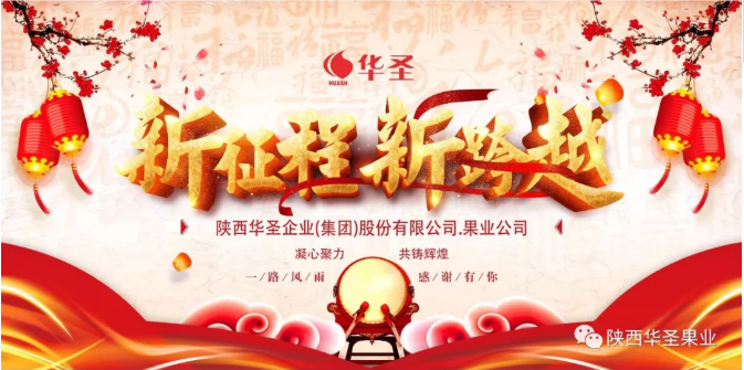 滚球买球的app官网