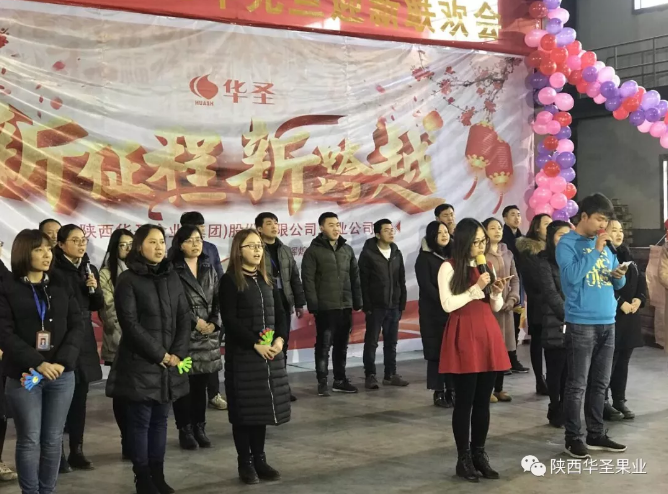 滚球买球的app官网