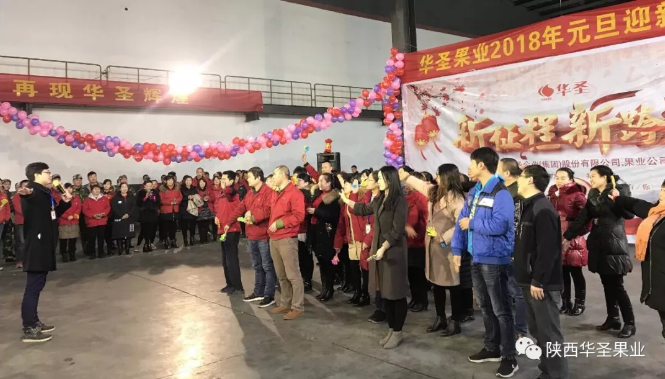 滚球买球的app官网