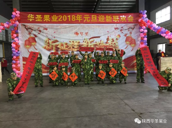 滚球买球的app官网