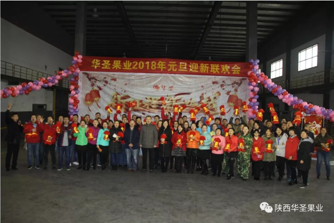 滚球买球的app官网
