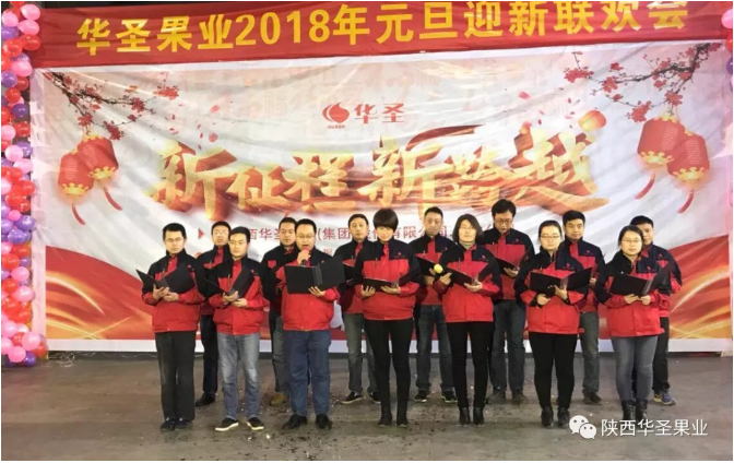 滚球买球的app官网