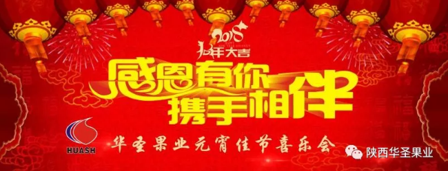 滚球买球的app官网
