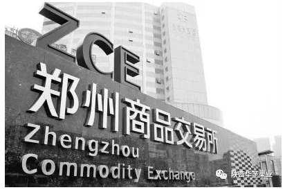 滚球买球的app官网