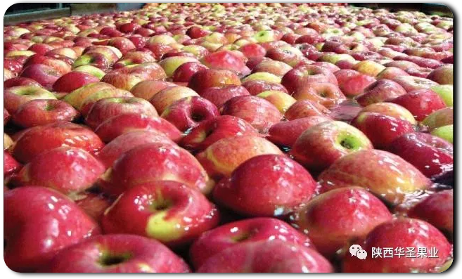 滚球买球的app官网