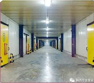 滚球买球的app官网