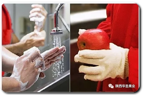 滚球买球的app官网