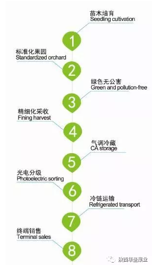 滚球买球的app官网