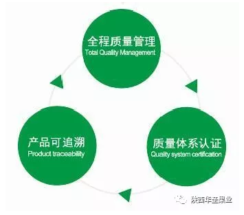 滚球买球的app官网