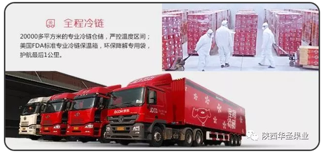 滚球买球的app官网