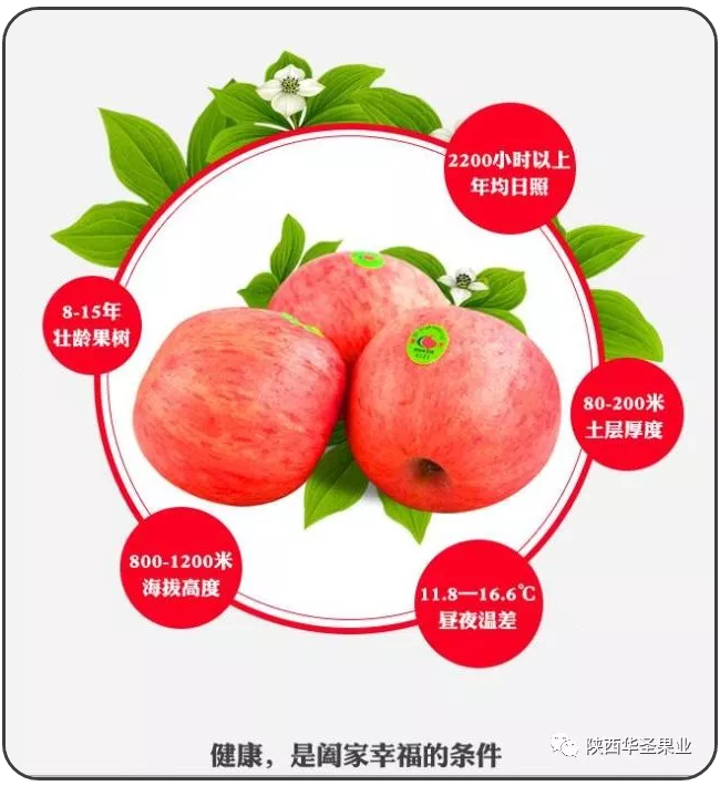滚球买球的app官网