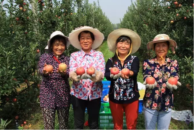 滚球买球的app官网