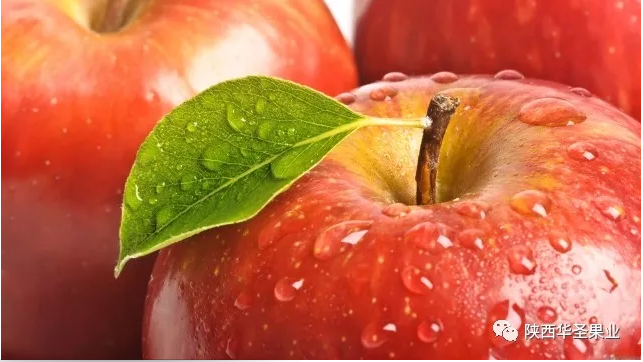滚球买球的app官网