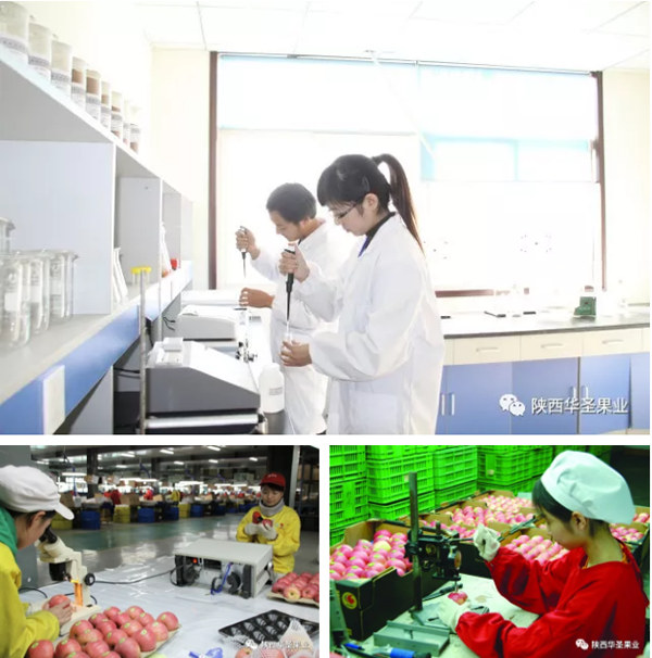滚球买球的app官网