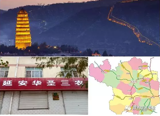 滚球买球的app官网