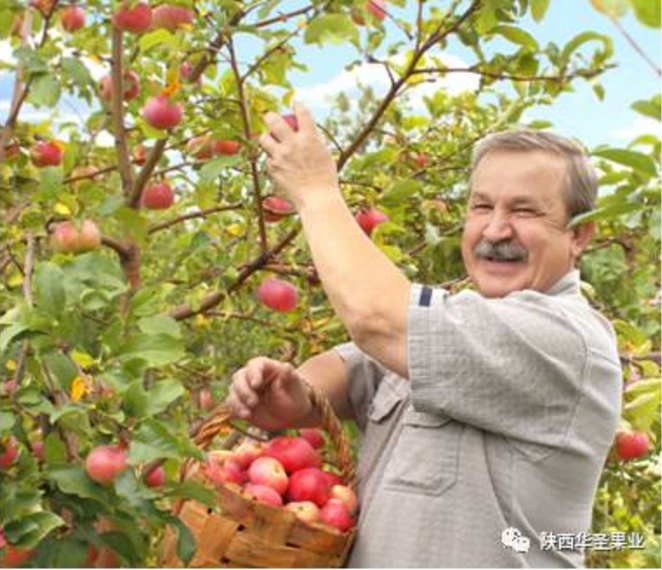 滚球买球的app官网