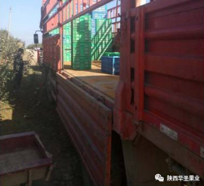 滚球买球的app官网