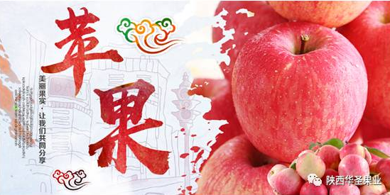 滚球买球的app官网
