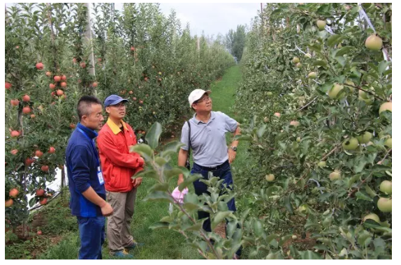 滚球买球的app官网