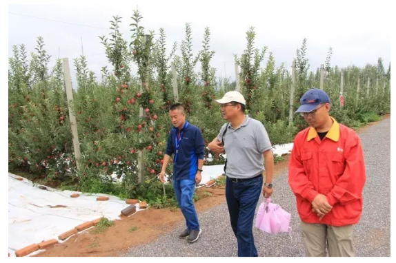 滚球买球的app官网