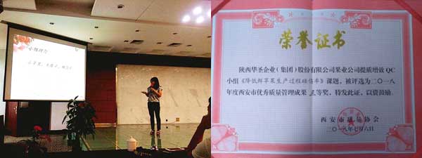 滚球买球的app官网