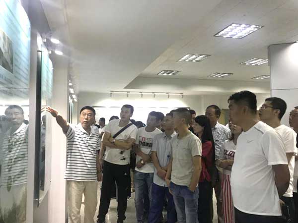 滚球买球的app官网