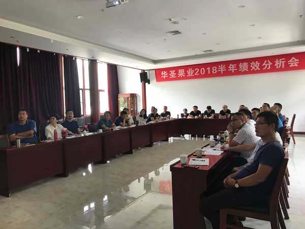 滚球买球的app官网
