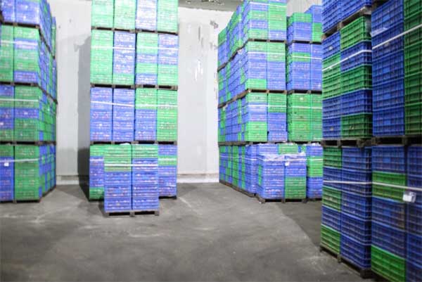 滚球买球的app官网
