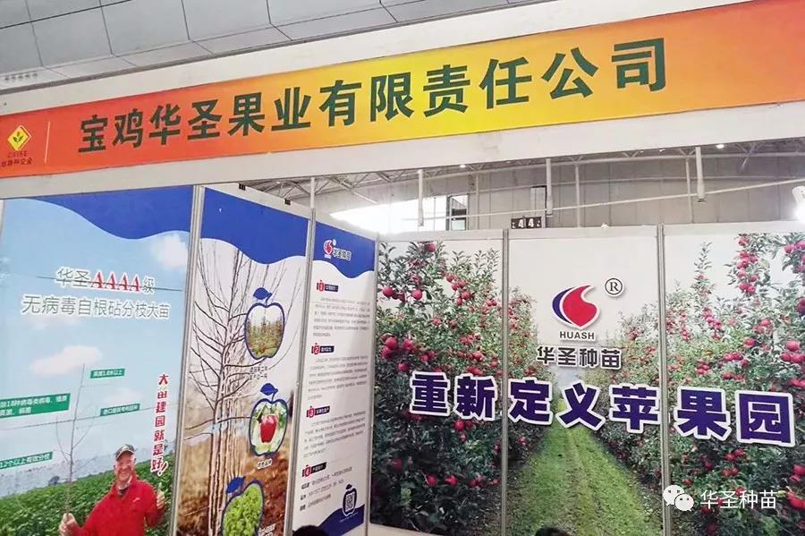 滚球买球的app官网