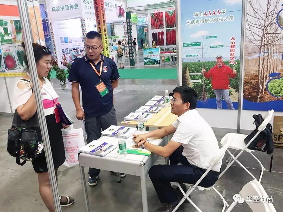 滚球买球的app官网