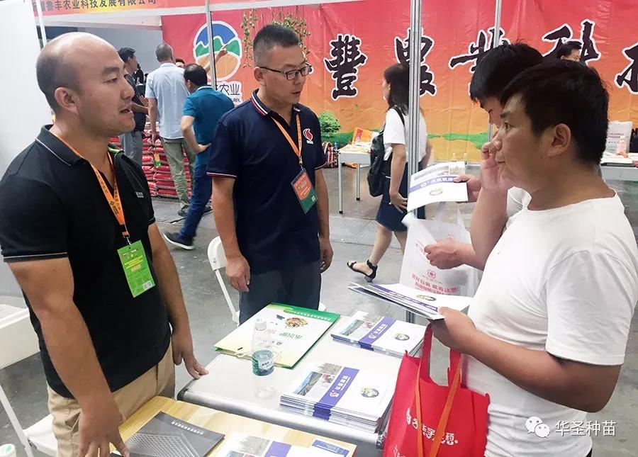 滚球买球的app官网