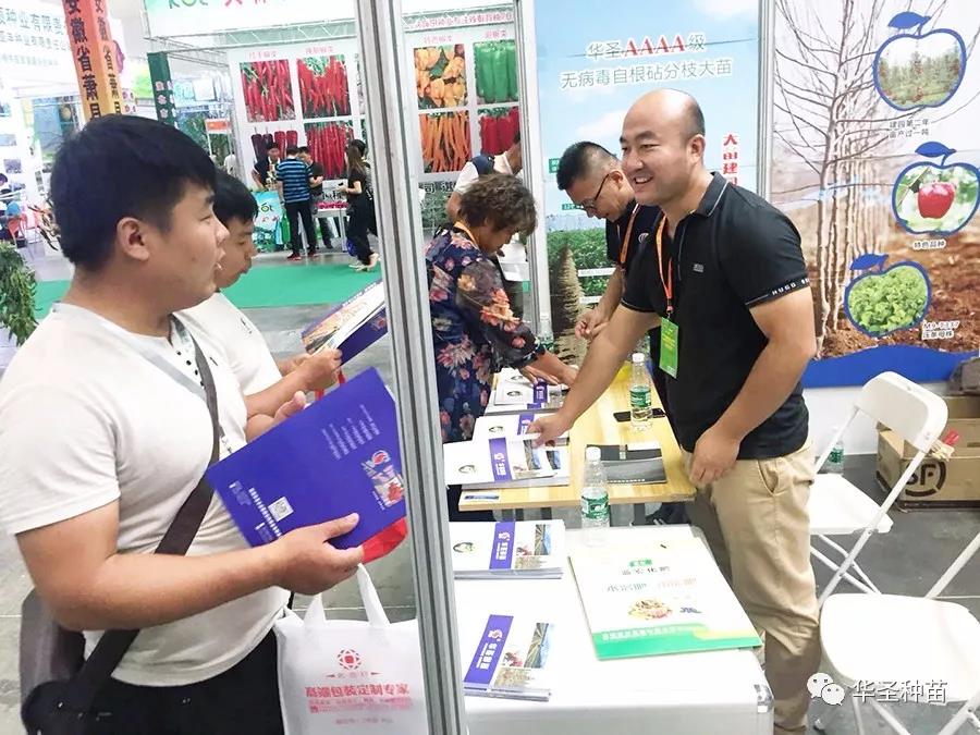 滚球买球的app官网