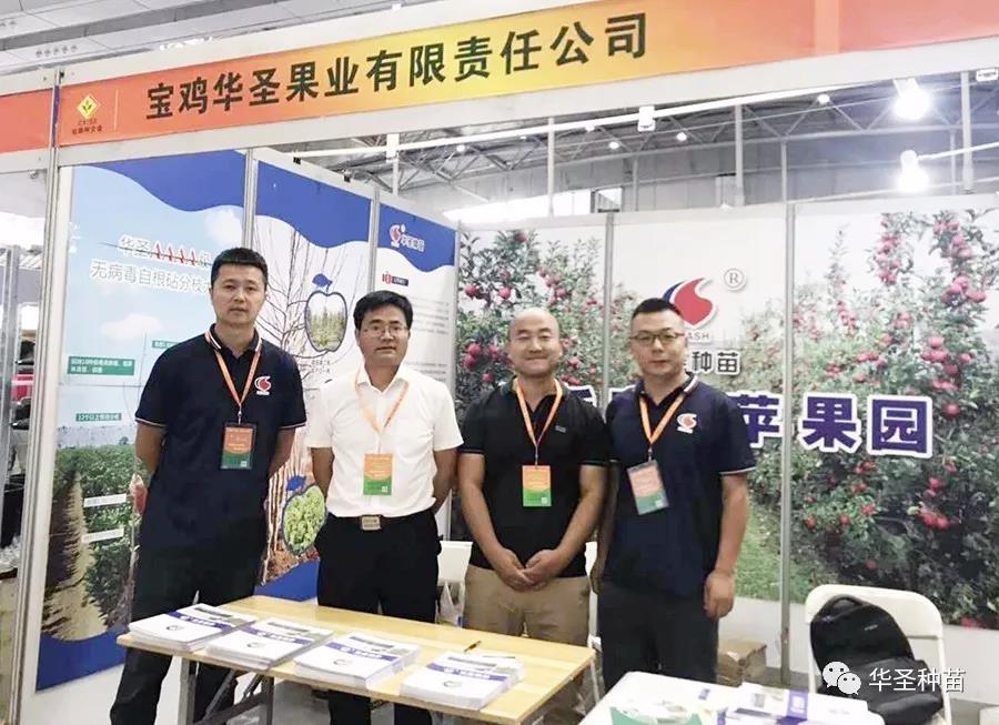 滚球买球的app官网