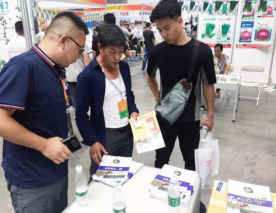 滚球买球的app官网
